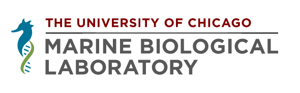 Barnstable Marine. logo