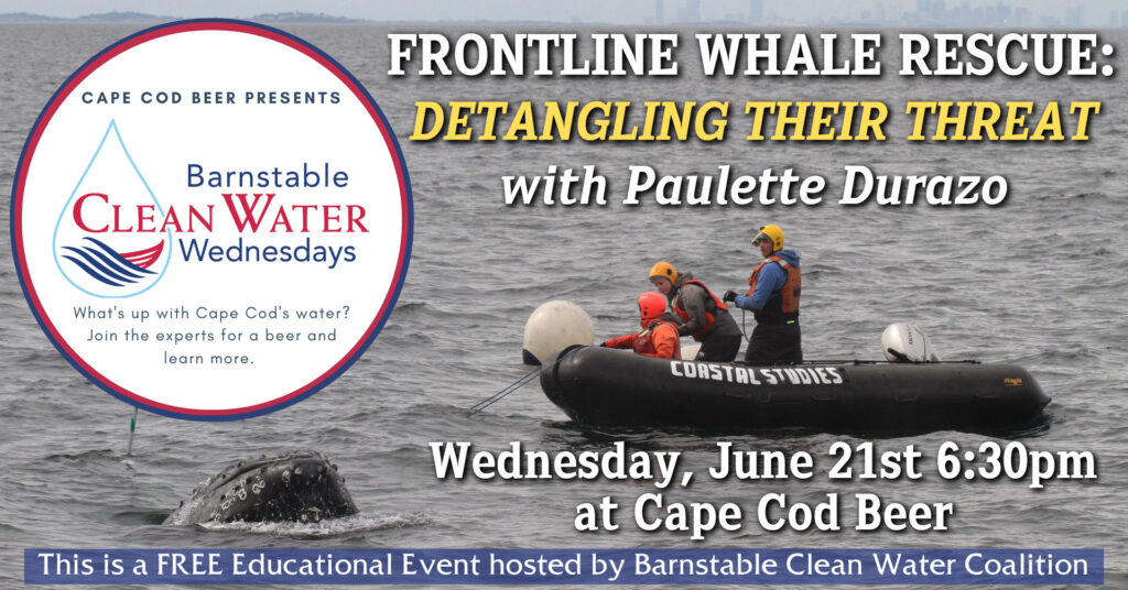 Frontline Whale Rescue