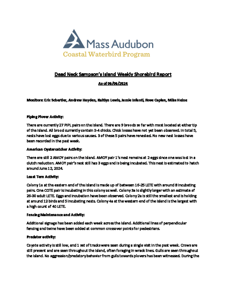 MAS CWP Dead Neck Sampson's Island Weekly Shorebird Report 6.6.2024_Page_1