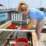 Barnstable Clean Water Coalition