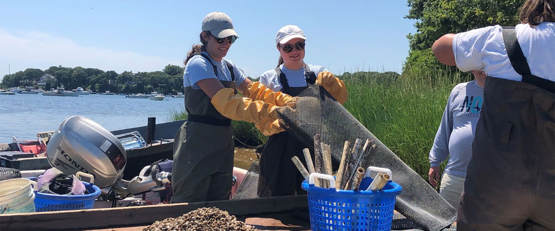 about Barnstable Clean Water Coalition