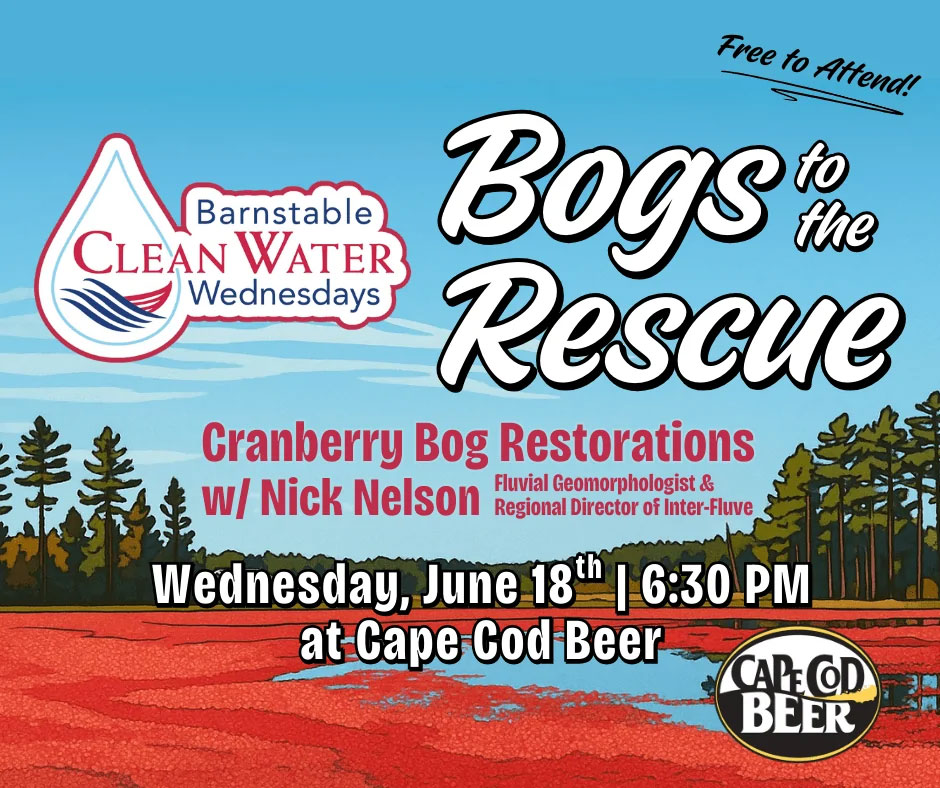 Bogs to the Rescue Cranberry Bog Restorations