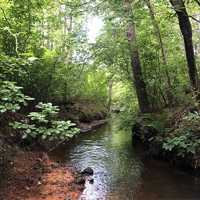 Clean Water Living Guide